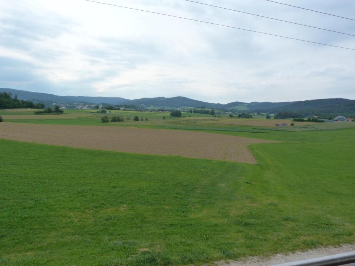 Ferienwohnung Spachtholz Waldmunchen Bagian luar foto